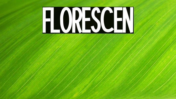 Florescent Example 1