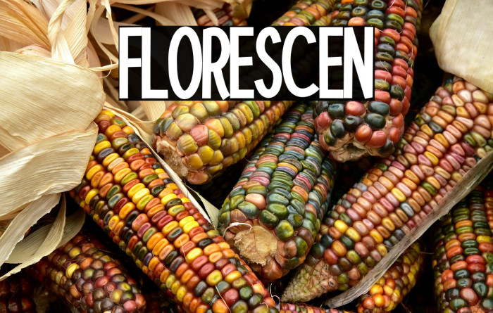 Florescent Example 2