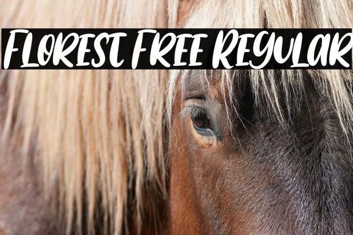 Florest Free Regular Example 2