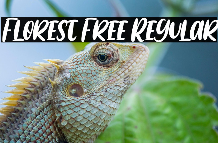 Florest Free Regular Example 3