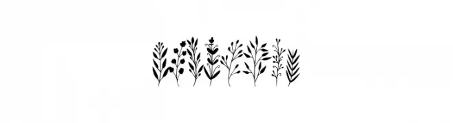 Floresta  Descarca Fonturi Gratis