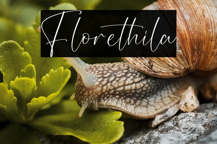 Florethila Example 1