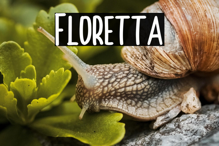 Floretta Example 2