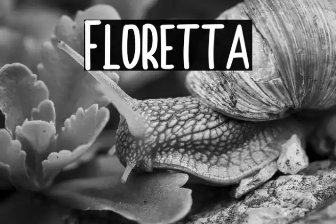 Floretta Font examples