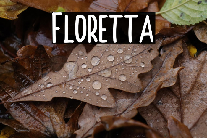 Floretta Example 3