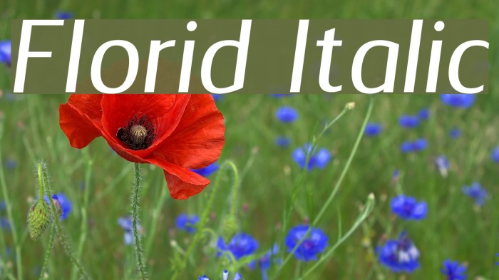 Florid Italic Font examples