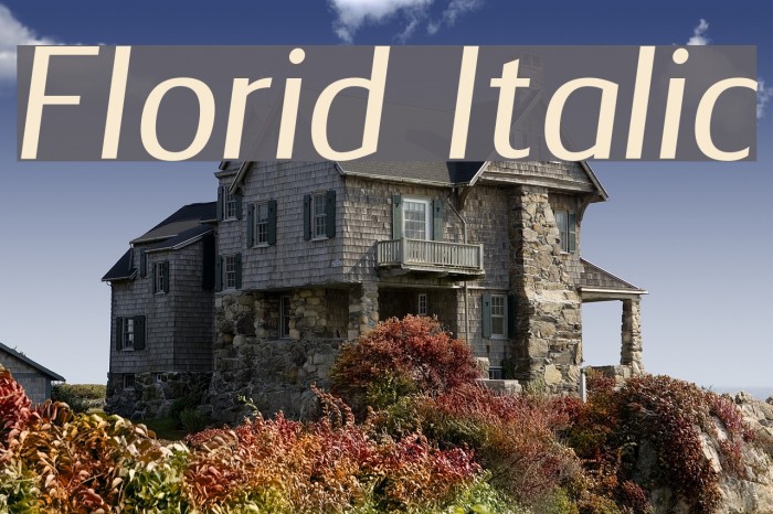 Florid Italic Font examples