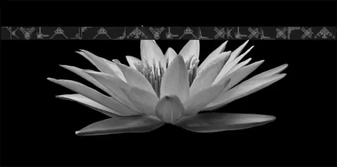 FloridVictorianOrnament خط examples