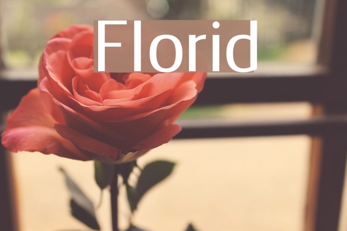 Florid Font examples