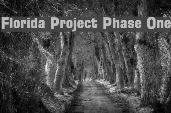 Florida Project Phase One Шрифта examples