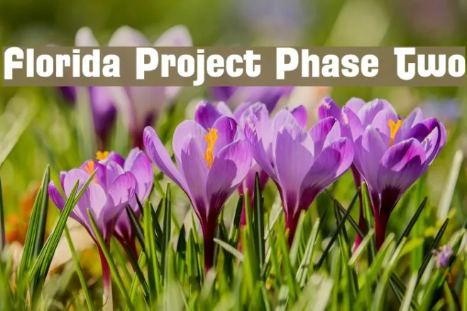 Florida Project Phase Two Example 1