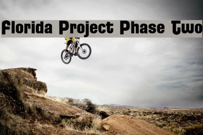 Florida Project Phase Two Example 3