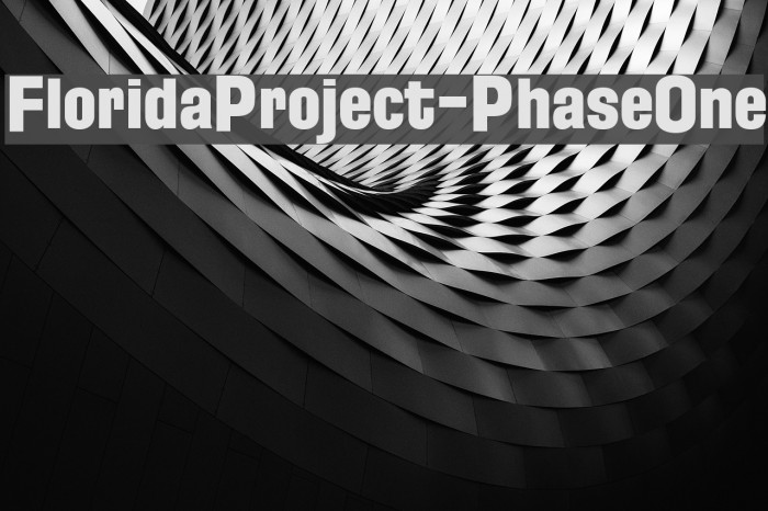FloridaProject-PhaseOne Example 1