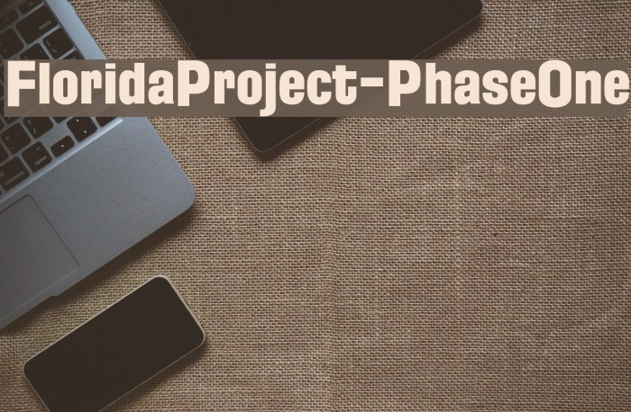 FloridaProject-PhaseOne Example 2