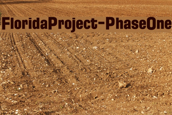 FloridaProject-PhaseOne Example 3