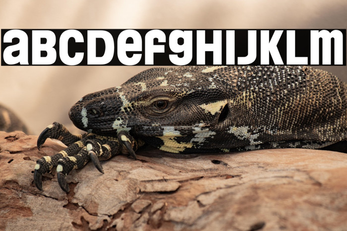 FloridaProject-PhaseTwo Example 1