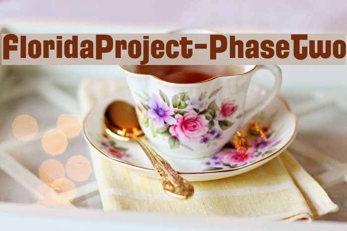 FloridaProject-PhaseTwo Example 2