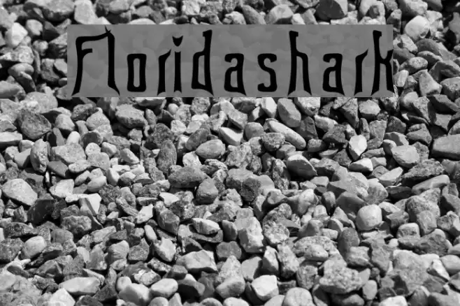 Floridashark Font examples