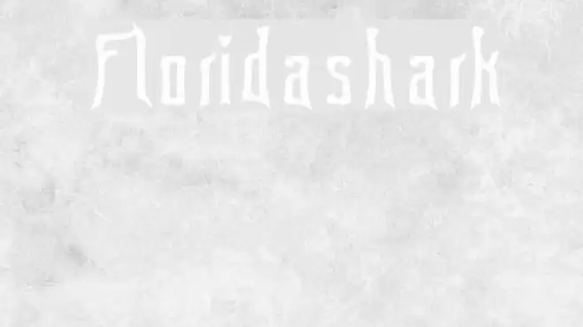 Floridashark Font examples