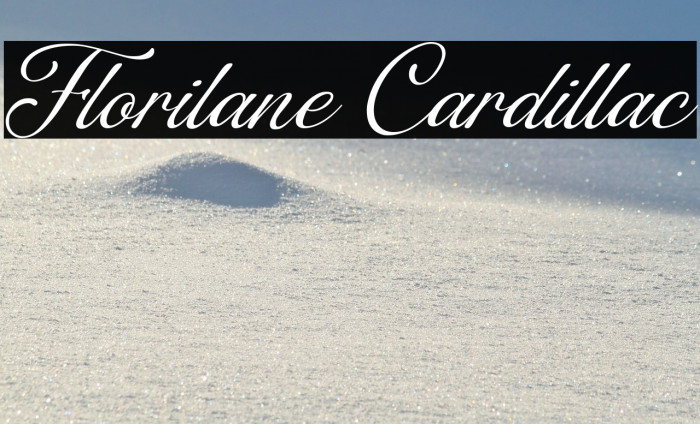 Florilane Cardillac Example 1