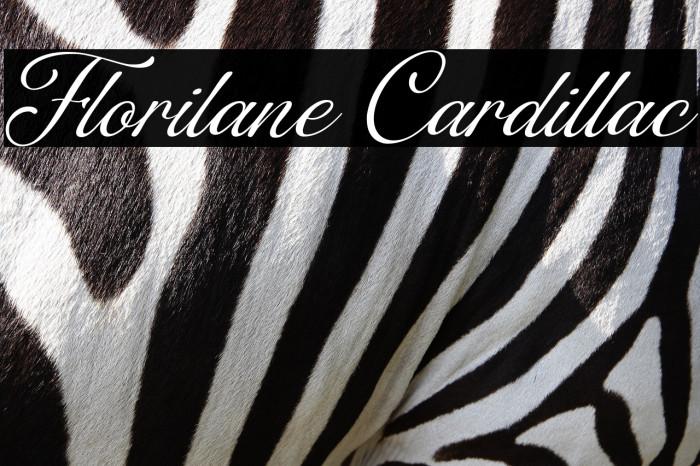 Florilane Cardillac Example 2