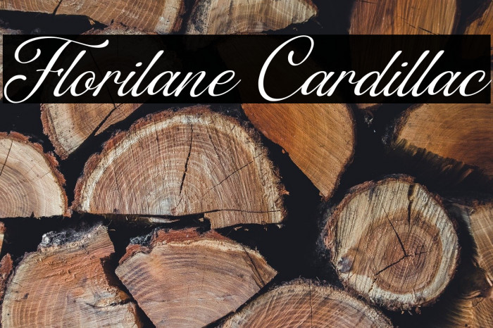 Florilane Cardillac Example 3