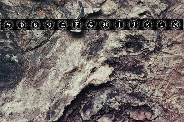 Florilla Fista II Example 3