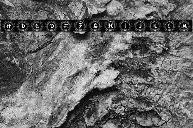 Florilla Fista II Font examples