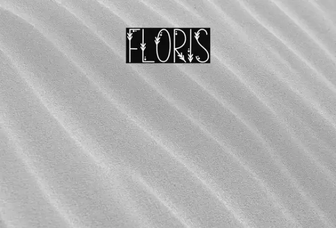 Floris Caratteri examples