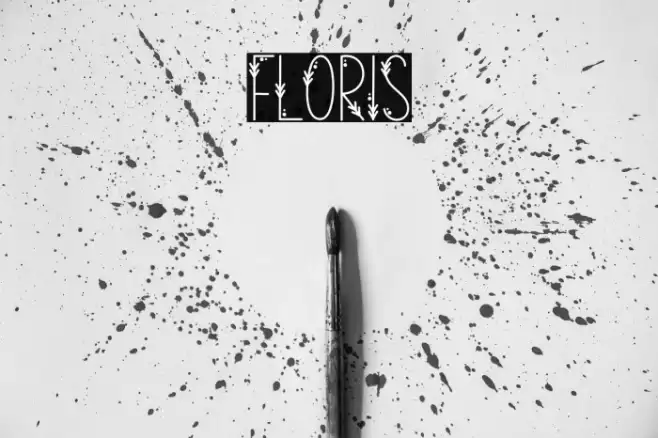 Floris Caratteri examples