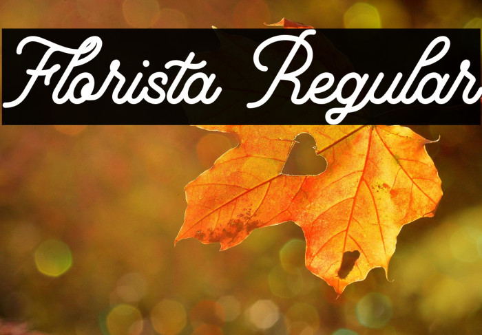Florista Regular Example 2