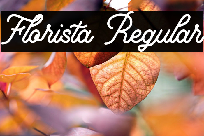 Florista Regular Example 3