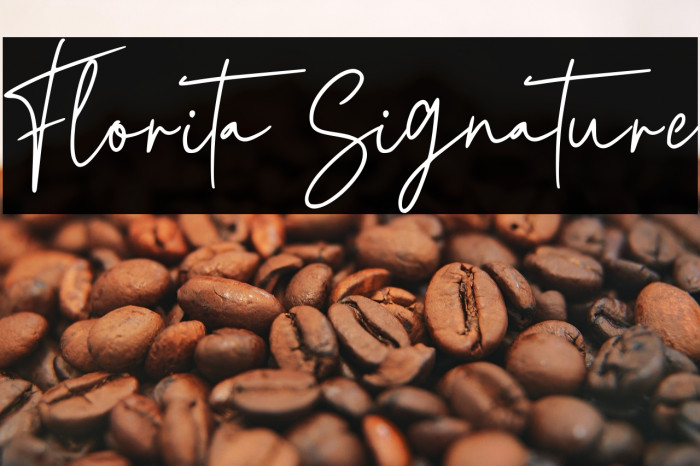 Florita Signature Example 3