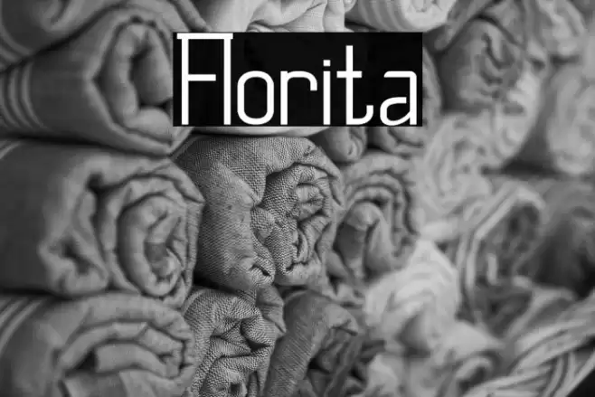 Florita Font | Free Download (TTF/OTF) | FFonts.net