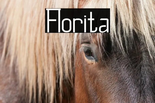 Florita Example 3