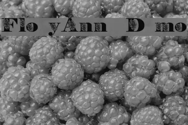 FloryAnna Demo Font examples