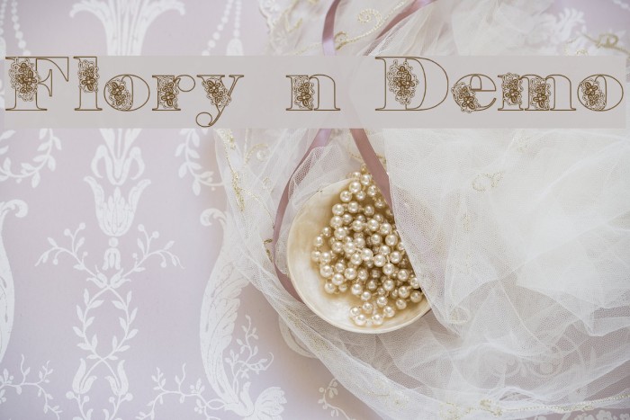 Floryan Demo Example 1