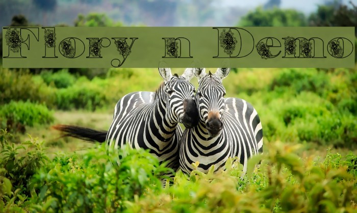 Floryan Demo Example 2