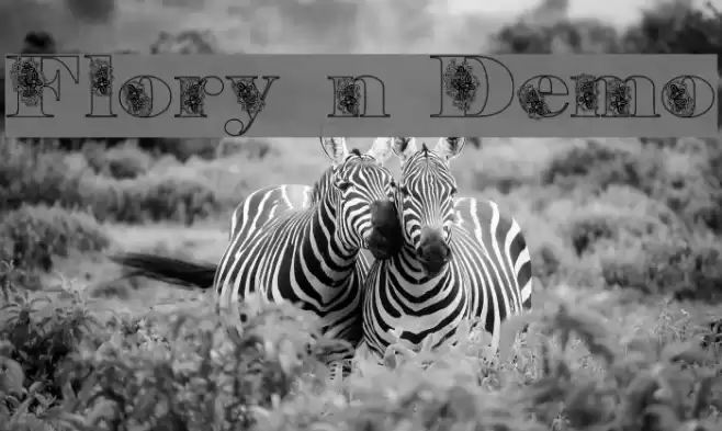 Floryan Demo Font examples