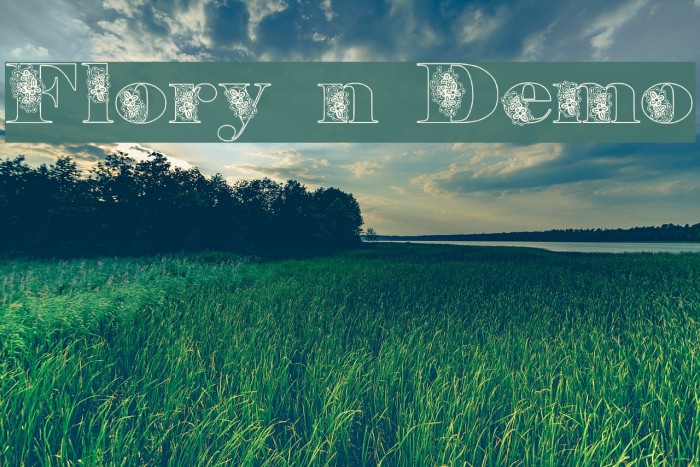 Floryan Demo Example 3