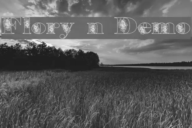 Floryan Demo Font examples