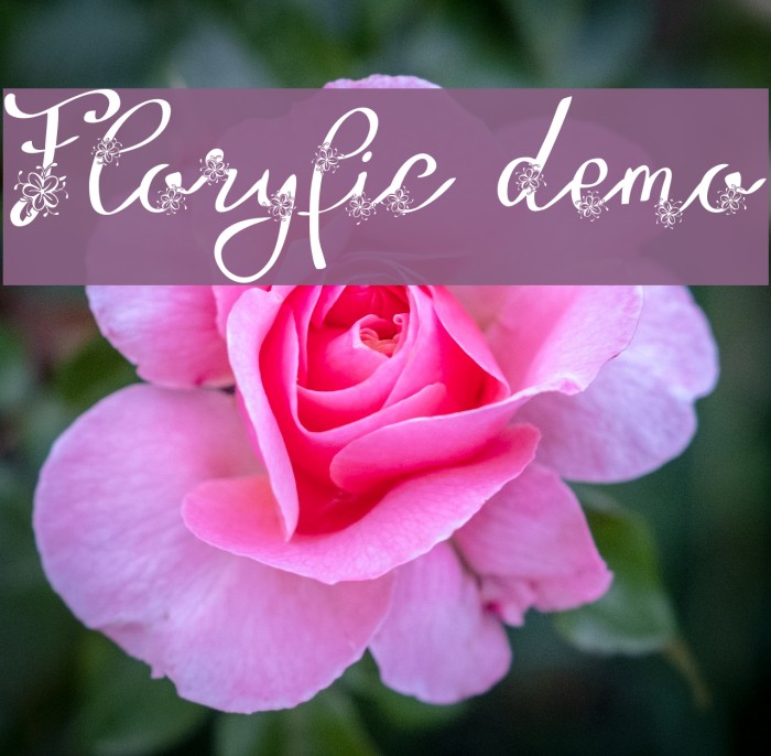 Floryfic Demo Font examples