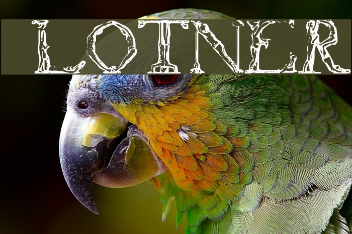 Flotner Шрифта examples