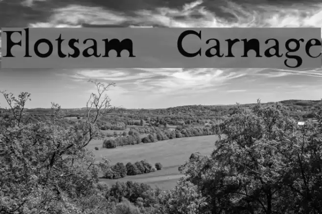 Flotsam Carnage Font examples