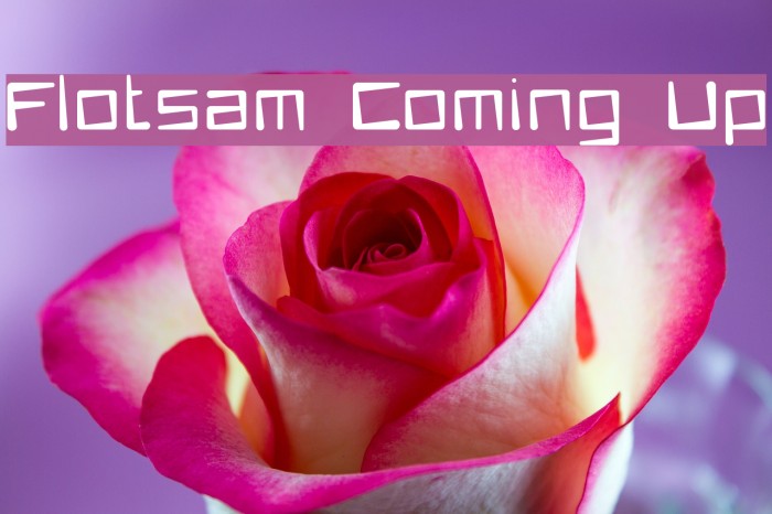 Flotsam Coming Up Font examples