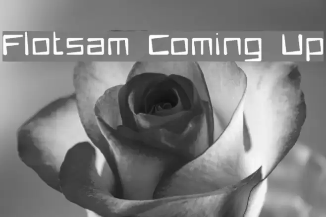 Flotsam Coming Up خط examples