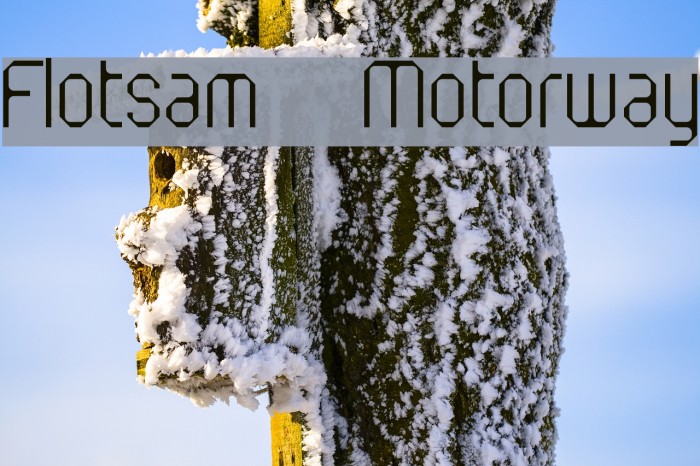 Flotsam Motorway Font examples