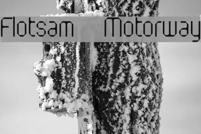 Flotsam Motorway Polices examples
