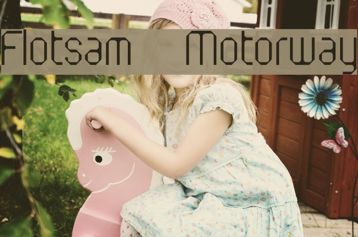 Flotsam Motorway Font examples