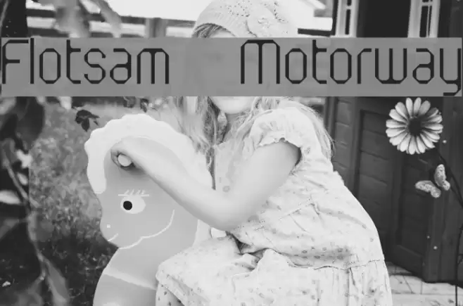 Flotsam Motorway Polices examples